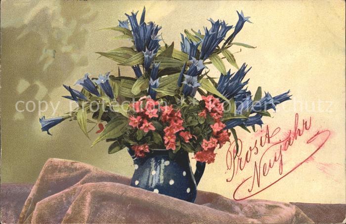 Blumen Enzian Alpenrosen