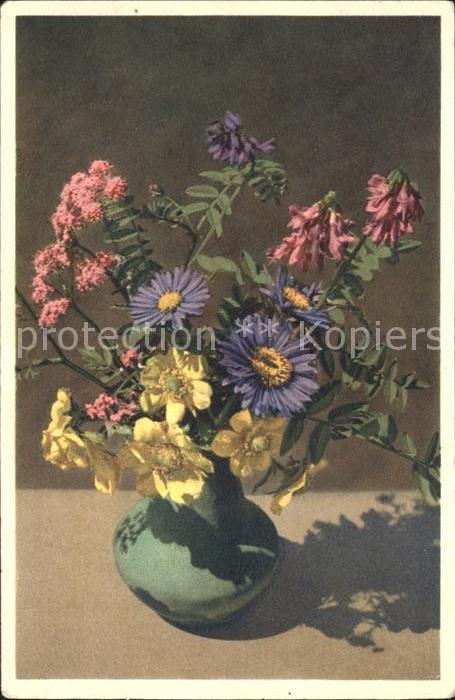 Blumen Bibernell Berg-Spitzkiel Süßklee Berg-N