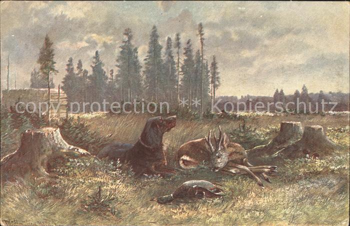 Jagd Hirsch Ente Hund