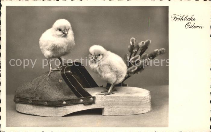 Ostern Easter Paques Kueken Holzpantoffel Weidenkaetzchen Foto-Amag-Nr. 66522/4