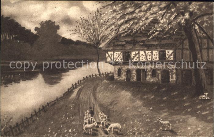 Verlag Amag Nr. 0447 Schafe Hirte Bauernhaus