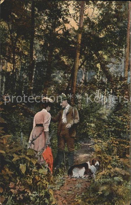 Jagd Hund Paar Wald