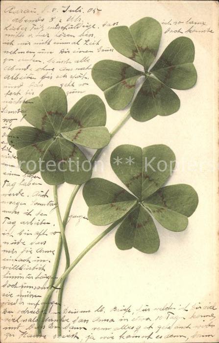 Kleeblatt Cloverleaf Trebol Trefle Kleeblaetter