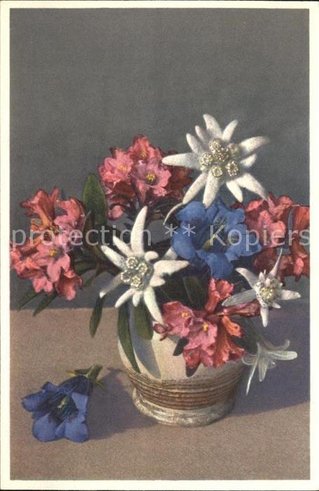 Blumen Edelweiss Alpenrosen Enzian Foto-E.-Gyg