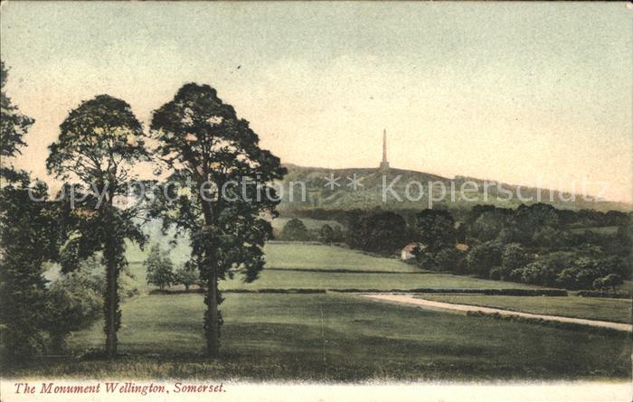 Wellington Taunton Deane Panorama Monument