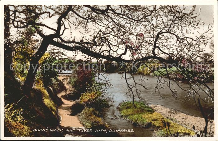 Dumfries Galloway Burns Walk and River Nith Valentine's Post Card