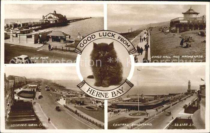 Herne Bay Pier Kings Hall Promenade Central Bandstand Cat Valentine's Post Card