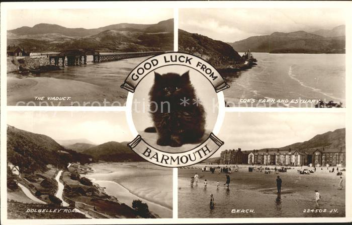 Barmouth Viaduct Coes Faen Estuary Dolgelley Road Beach Cat Valentine's Post Car