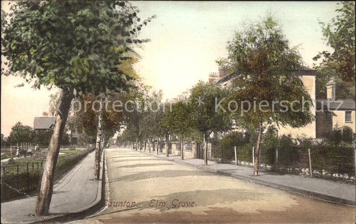Taunton Deane Elm Grove