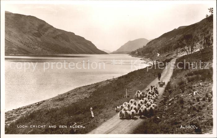Schafe Hirte Loch Ericht Ben Alder