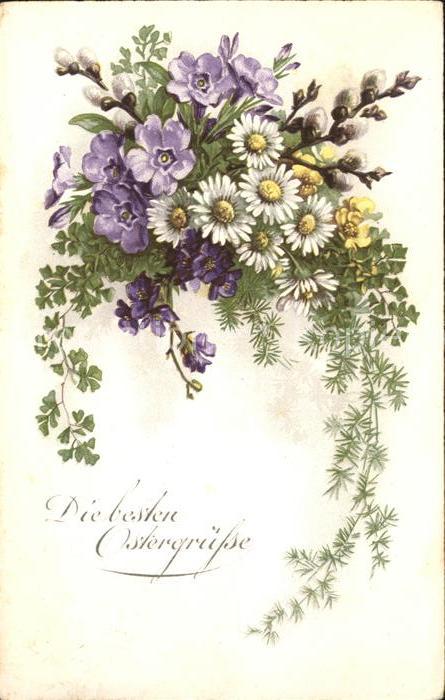Ostern Easter Paques Margeriten Primeln Veilchen Weidenkaetzchen Litho