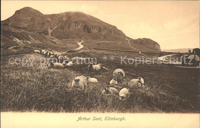 Schafe Arthur Seat Edinburgh