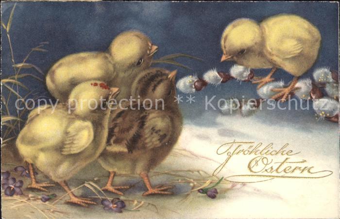 Ostern Easter Paques Küken Weidenkätzchen Veilchen