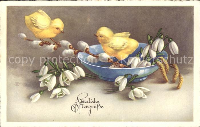 Ostern Easter Paques Küken Schneeglöckchen Weidenkätzchen