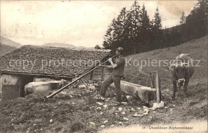 Alphorn Alphornblaeser Obwalden Kuh Traenke