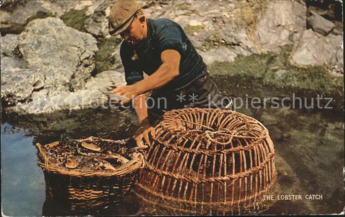 Fischerei Hummer Lobster Catch