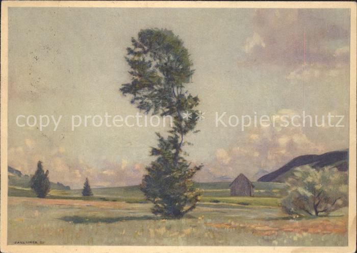 Liner Carl Eggerstander-Moos Appenzell