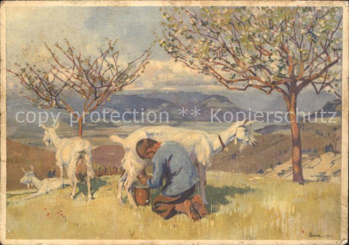 Liner Carl Rheintal Kind melken Ziegen