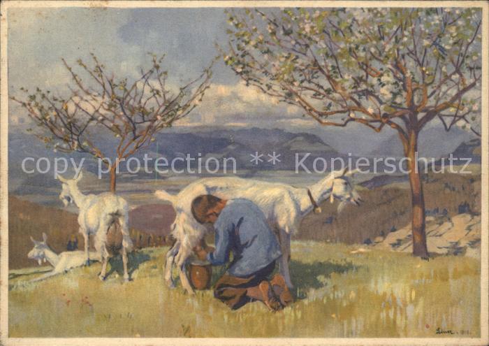 Liner Carl Blick ins Rheintal Kind Ziegen melken