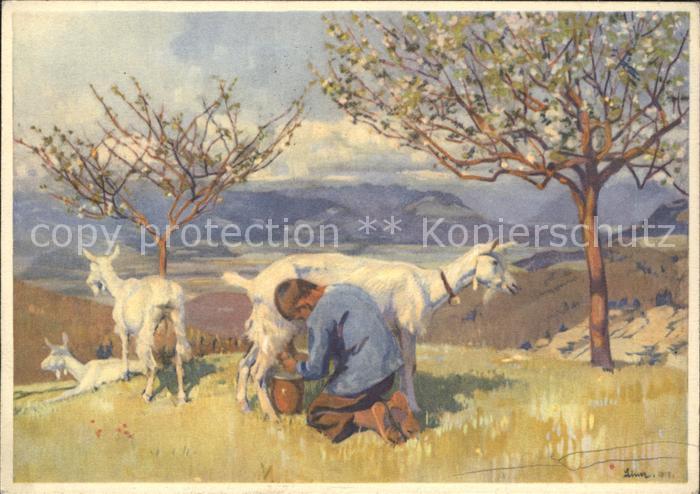 Liner Carl Blick ins Rheintal Kind Ziegen melken