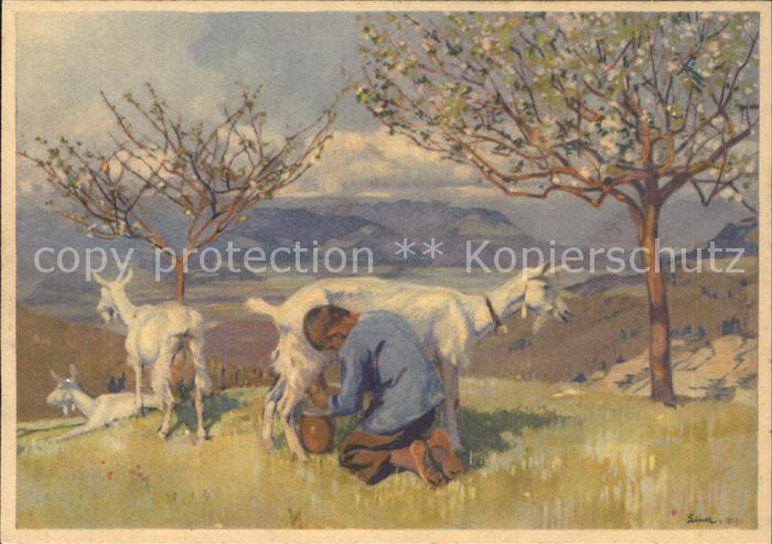 Liner Carl Blick ins Rheintal Kind Ziegen melken