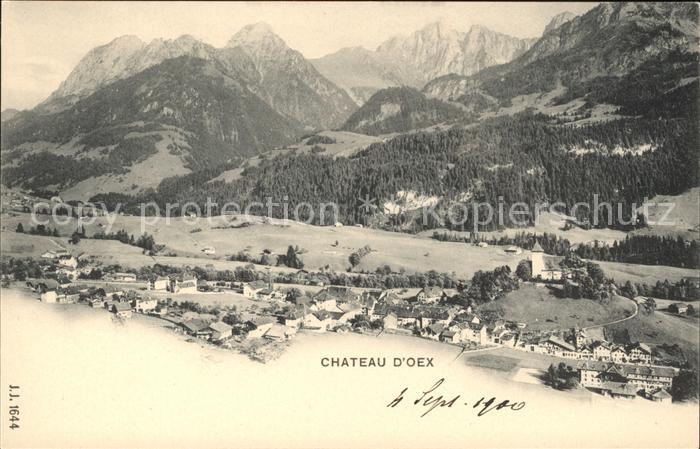 Chateau-d Oex Panorama