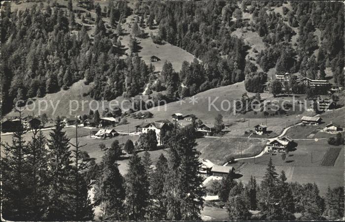 Les Plans-sur-Bex Vue generale