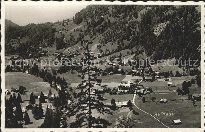Les Plans-sur-Bex Vue generale
