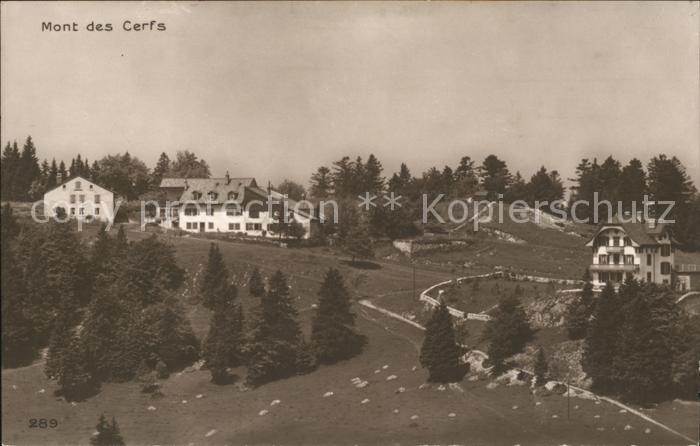 Cerfs Mont Les VD Vue partielle