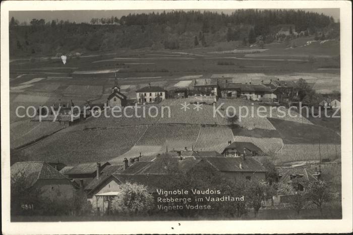 Waadtland Vaud Vignoble Vaudois