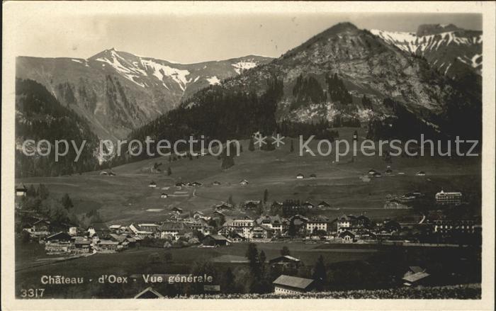 Chateau-d Oex Vue generale