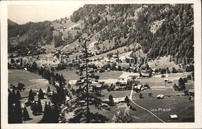 Les Plans-sur-Bex Vue generale