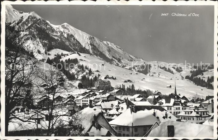 Chateau-d Oex Vue generale