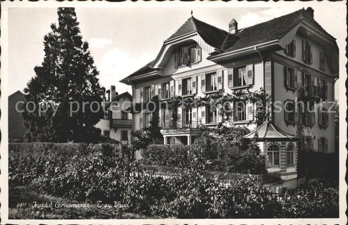 Trey Institut Cornamusaz