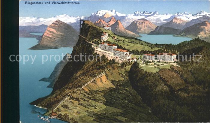 Buergenstock Vierwaldstaettersee Fliegeraufnahme