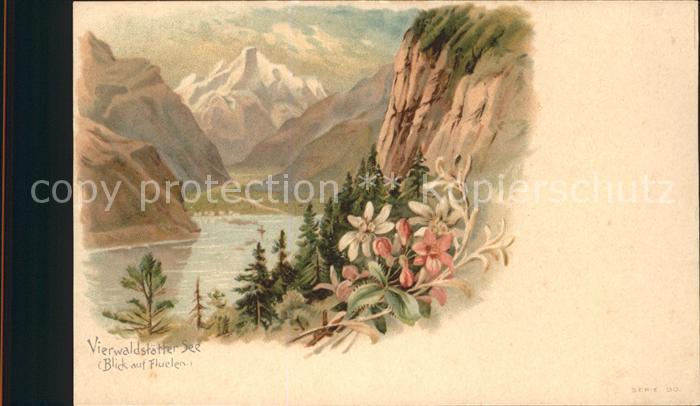 Vierwaldstaettersee SZ Panorama Kuenstlerkarte