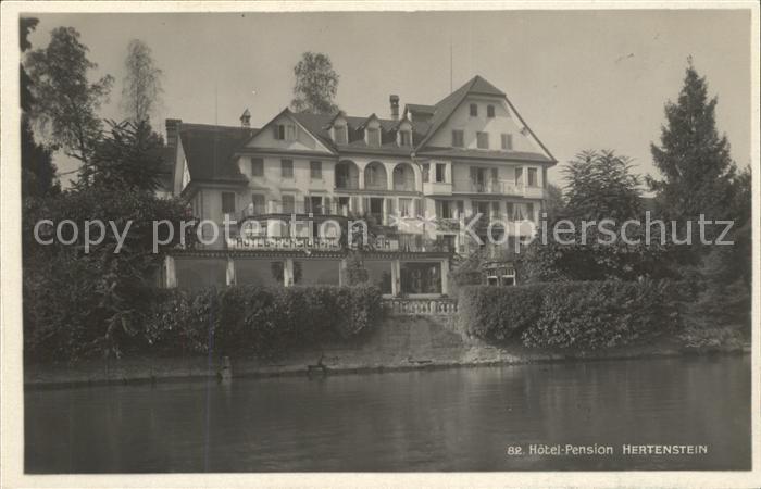 Hertenstein LU Hotel Pension