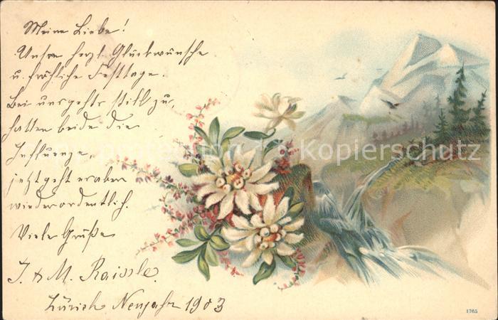 Edelweiss Berge Natur Wasserfall Litho