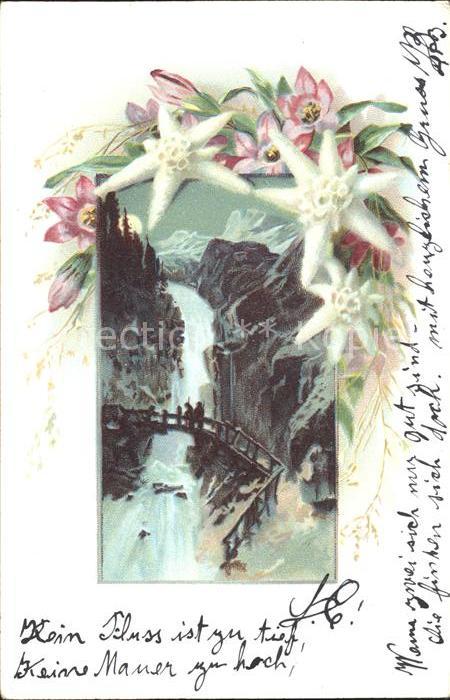 Edelweiss Berge Natur Brücke Litho