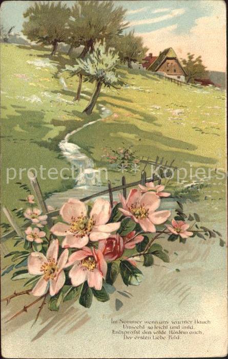 Rosen Gedicht Fluss Natur Litho