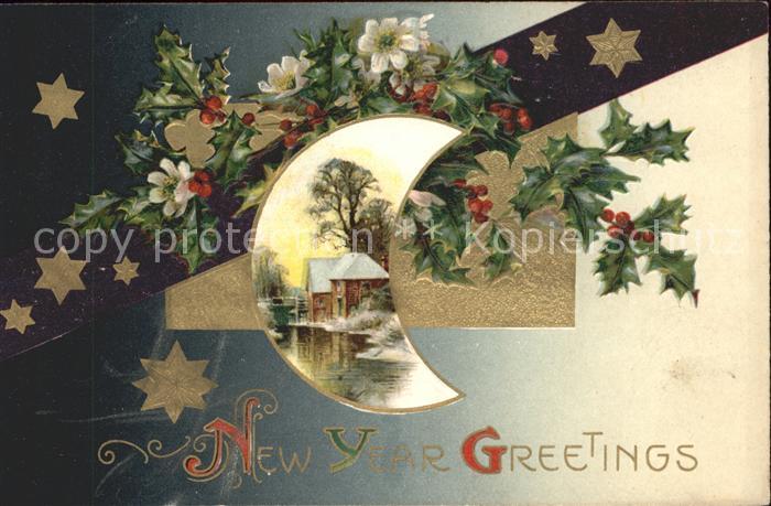 Neujahr Mond Stechpalmen Christrosen Sterne Wassermuehle