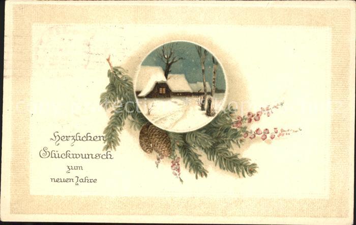 Neujahr Tannenzapfen Litho