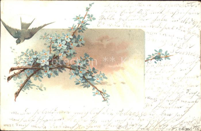 Blumen Schwalbe Litho