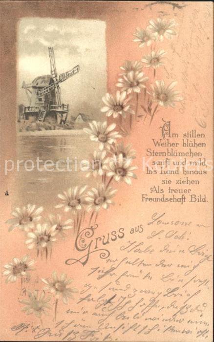 Windmuehle Margeriten Gedicht Litho