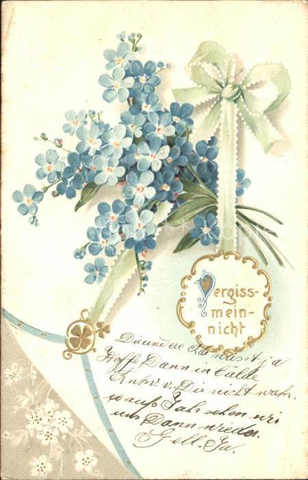 Blumen Vergissmeinnicht Schleife Litho