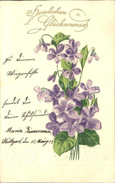 Glueckwunsch Veilchen