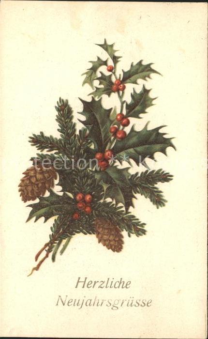 Neujahr Tannenzapfen Stechpalme