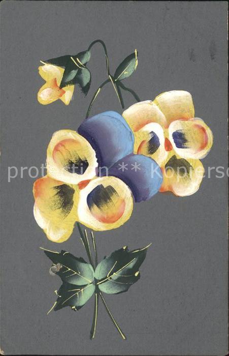 Blumen Stiefmütterchen