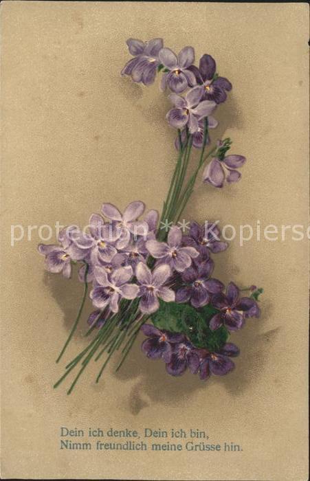 Blumengruesse Veilchen Spruch Litho