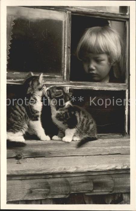 Katzen Kind Belauscht